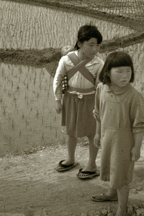 Japan 1954