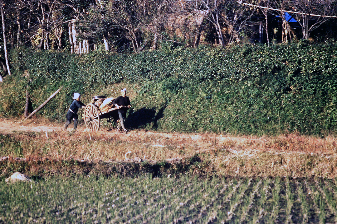 Japan 1954