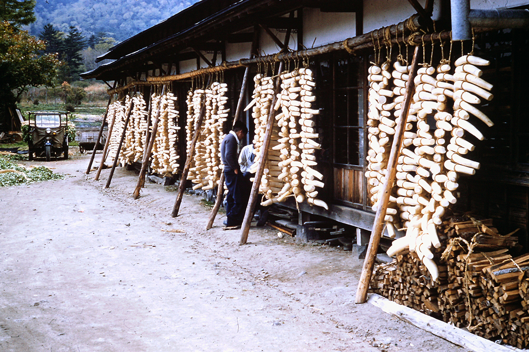 Japan 1954