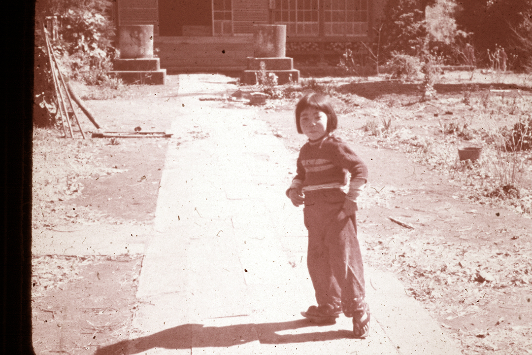 Japan 1954